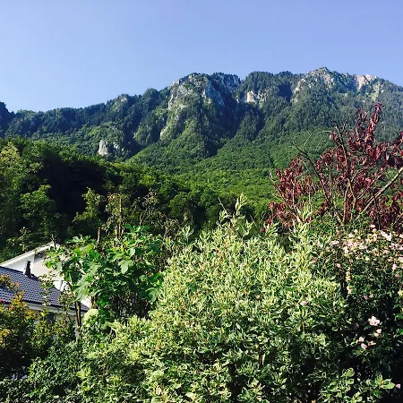 Bed & Breakfast La Foret Sur Le Lac *